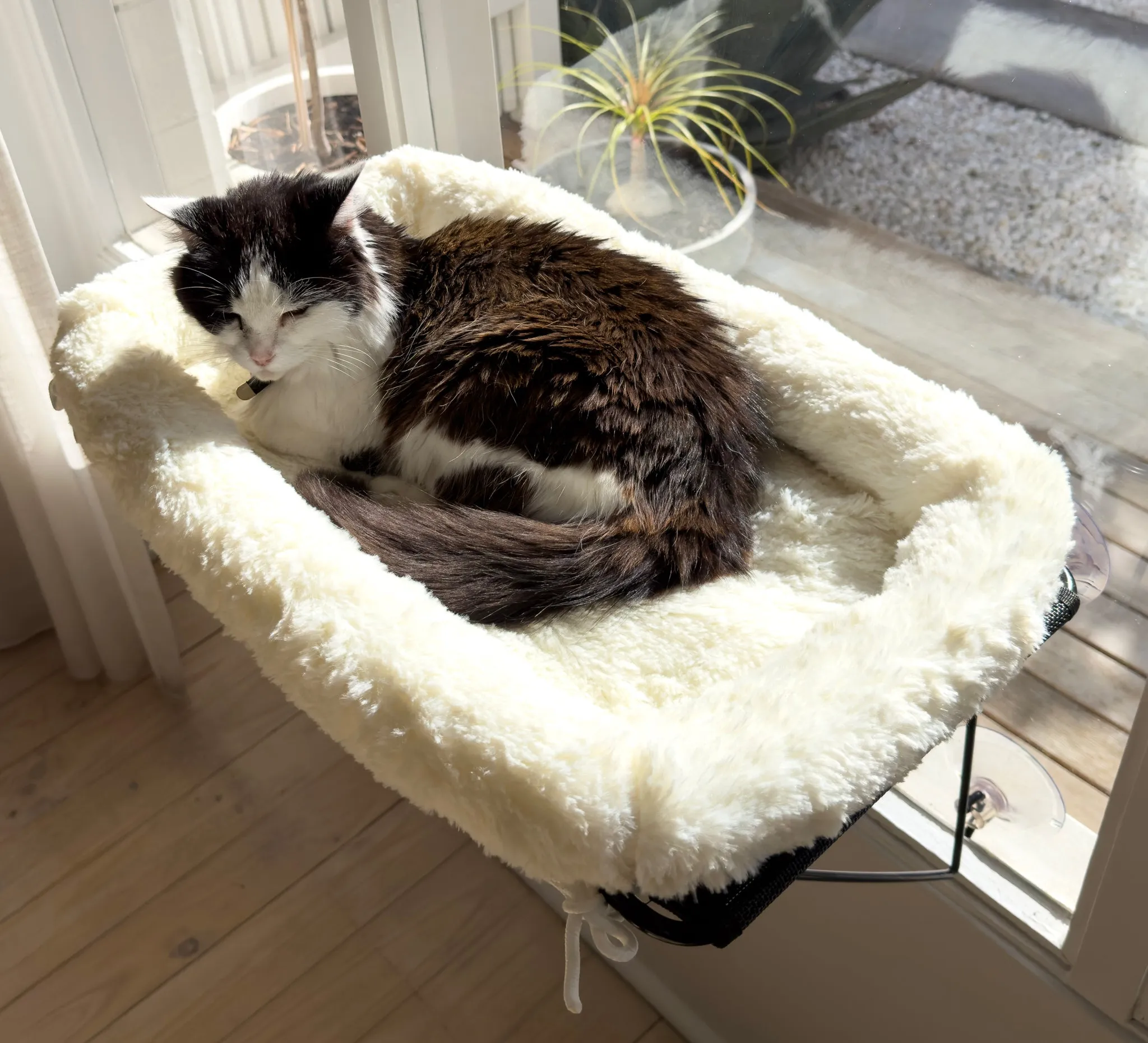 AUSSIE FURBABY Cat Hammock Cat Window Perch Cat Bed - Cordless Cat Window Bed Hammock. Washable XXL Cat Window Seat, Cat Window Hammock. 18kg Rated Sunbathing Cat Hammock Window Ledge Cat Toy