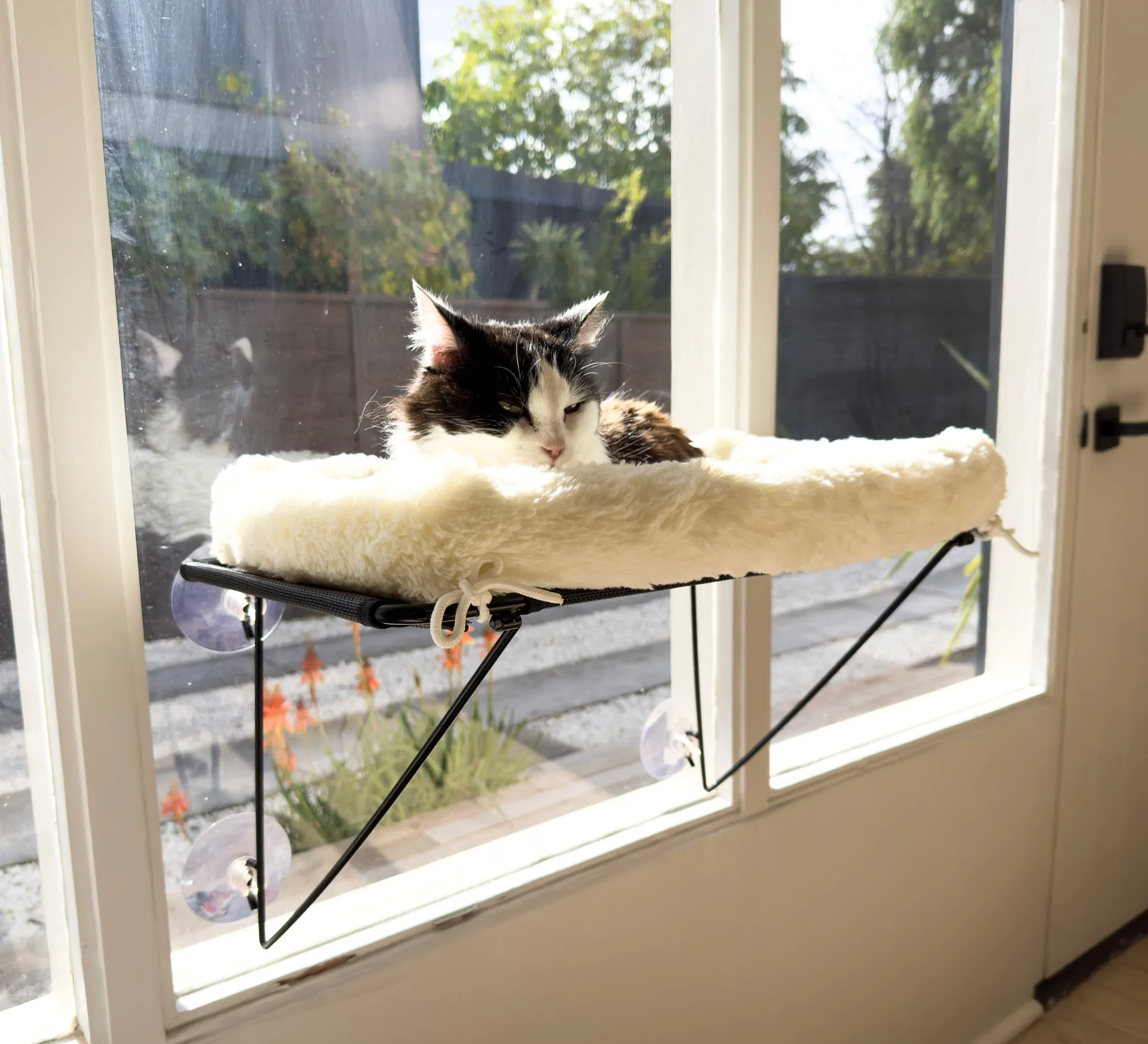 AUSSIE FURBABY Cat Hammock Cat Window Perch Cat Bed - Cordless Cat Window Bed Hammock. Washable XXL Cat Window Seat, Cat Window Hammock. 18kg Rated Sunbathing Cat Hammock Window Ledge Cat Toy