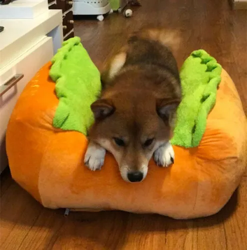 Hot Dog Bed