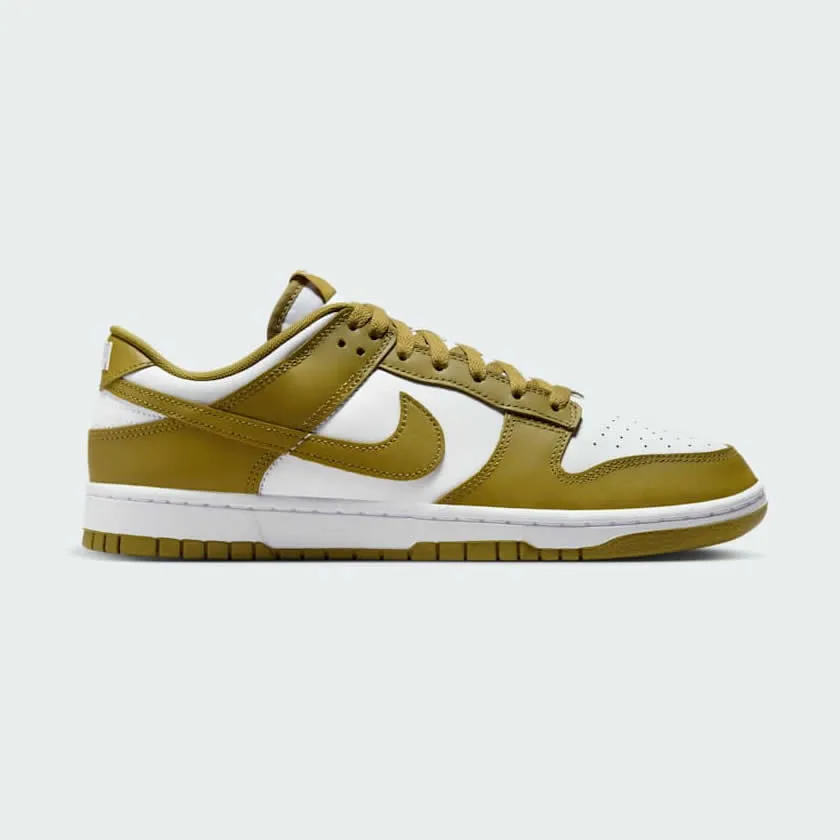 Nike Men's Dunk Low Retro DV0833 105