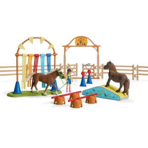 Pony agility training