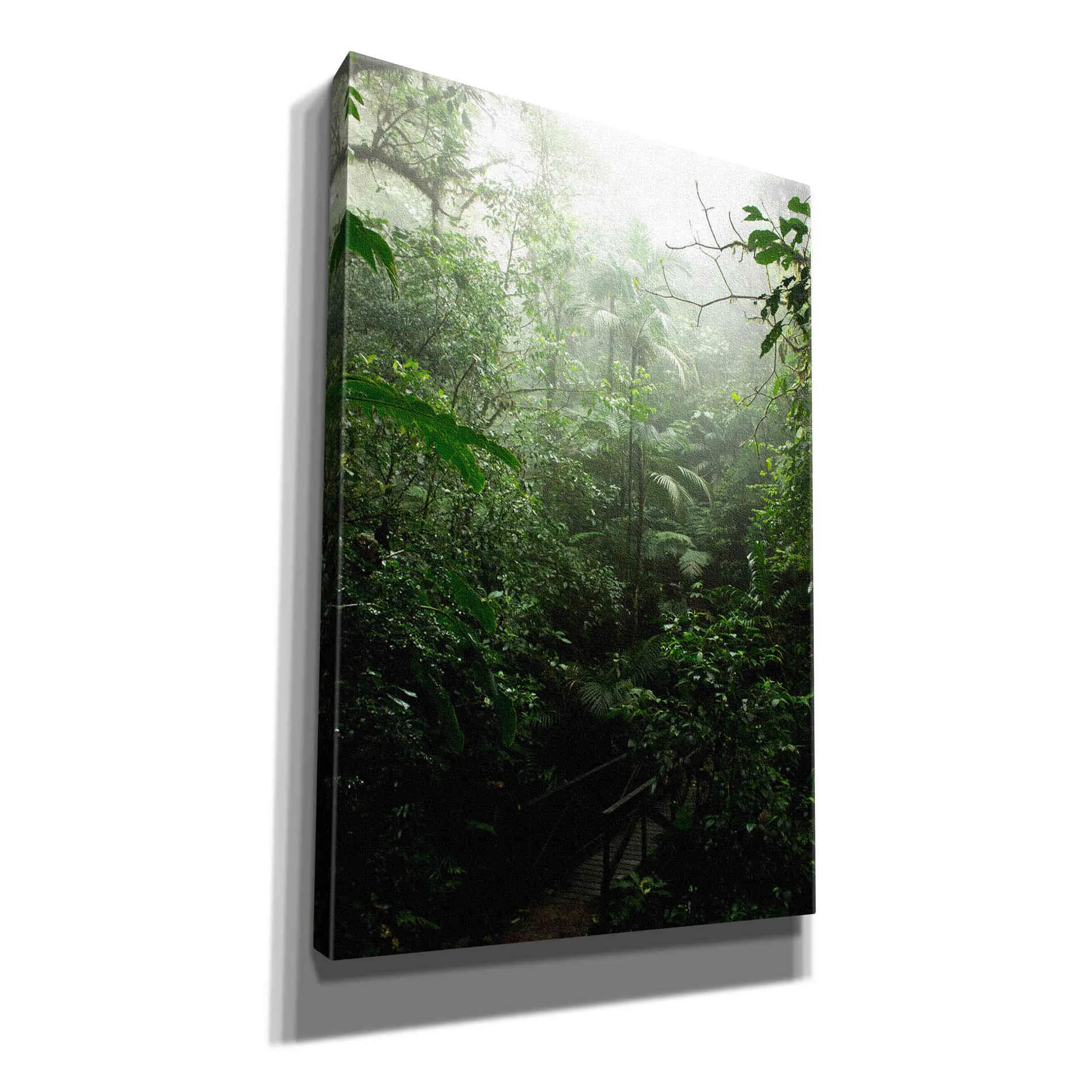 "Into The Cloud Forest" by Nicklas Gustafsson Giclee Canvas Wall Art