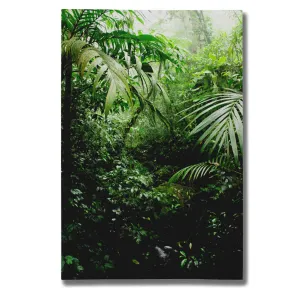 "Misty Rainforest Creek" by Nicklas Gustafsson Giclee Canvas Wall Art