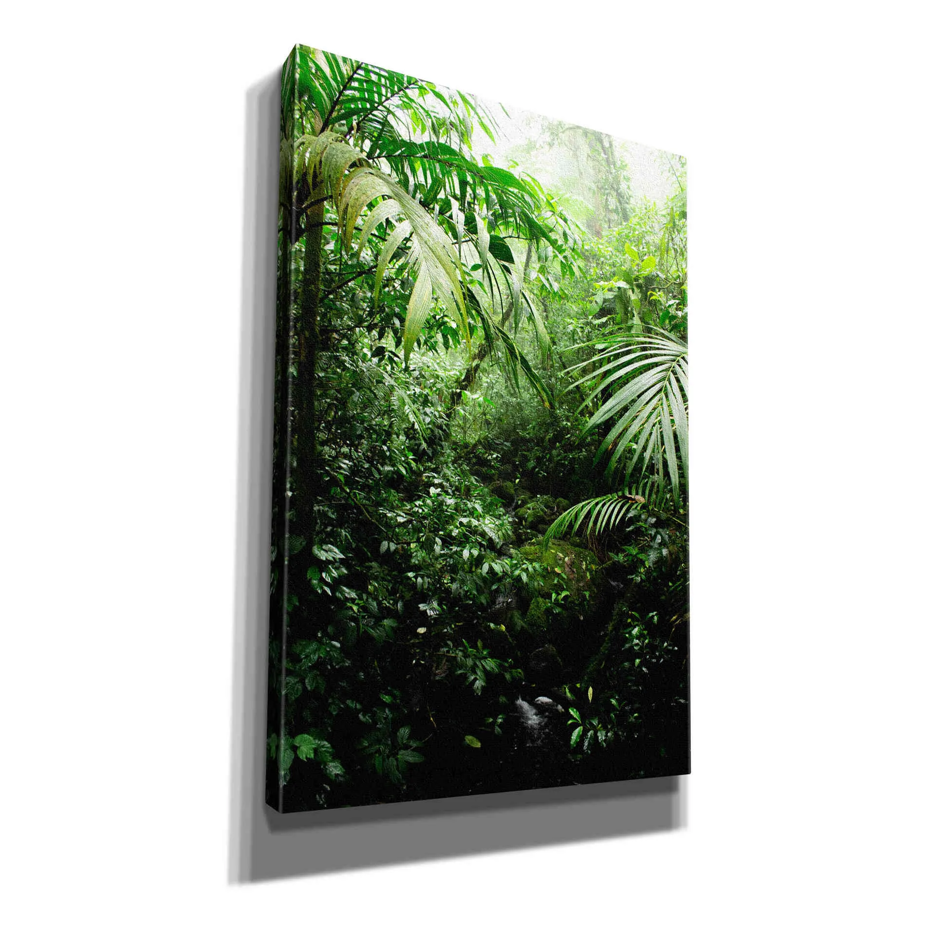 "Misty Rainforest Creek" by Nicklas Gustafsson Giclee Canvas Wall Art